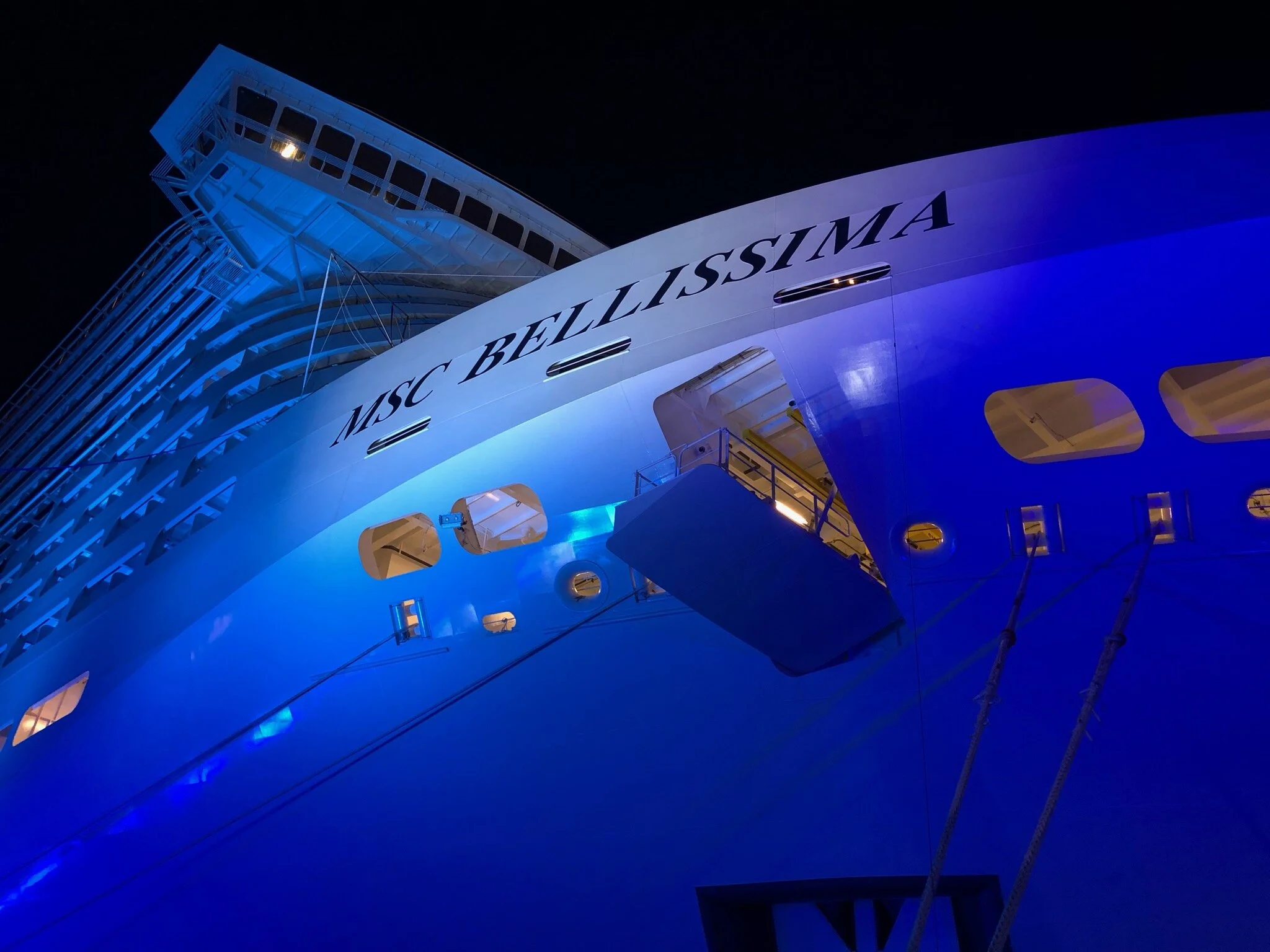 The cruise ship at the launch ceremony (Copy)