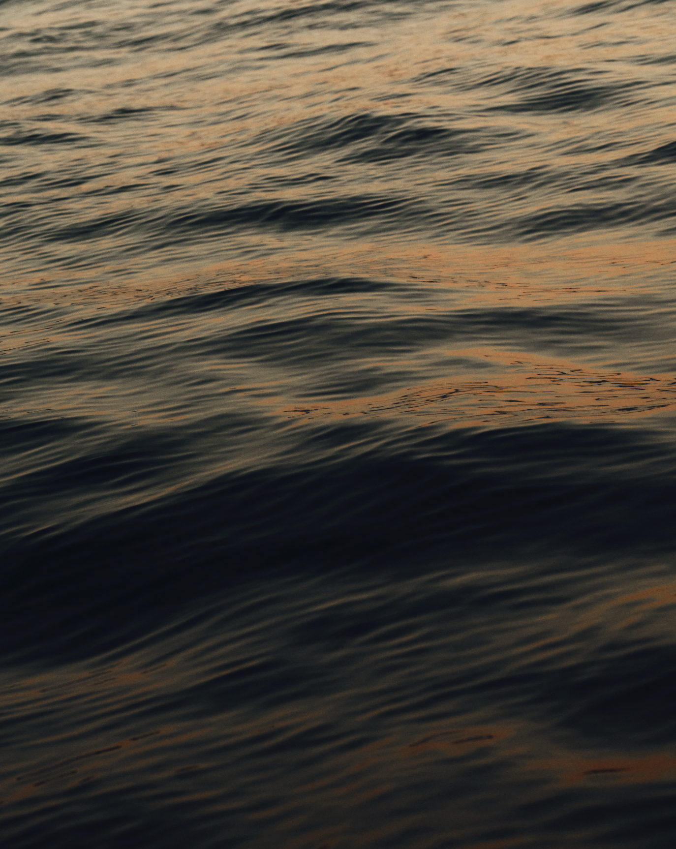 Capture d’écran 2025-09-09 à 10.33.52.png