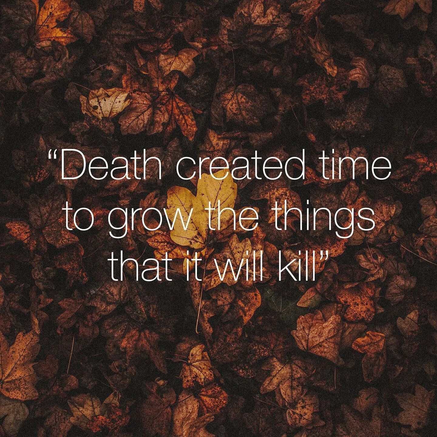 &ldquo;Death created time to grow the things that it will kill&rdquo; - 🎥 True Detective

#thought, #mentalhealthmen, #death, #mentalhealthsupport, #mentalhealthrecovery, #depression, #depressionhelp, #depressionsupport, #depressionrelief, #depressi