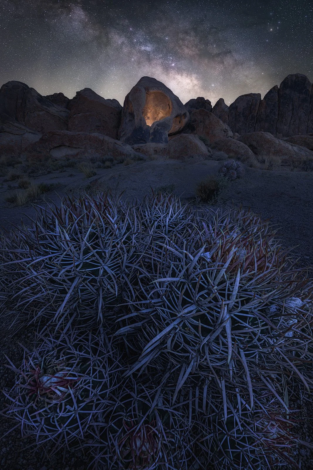 Milky Way over Desert Arch and Barrel Cactus at Night.jpg