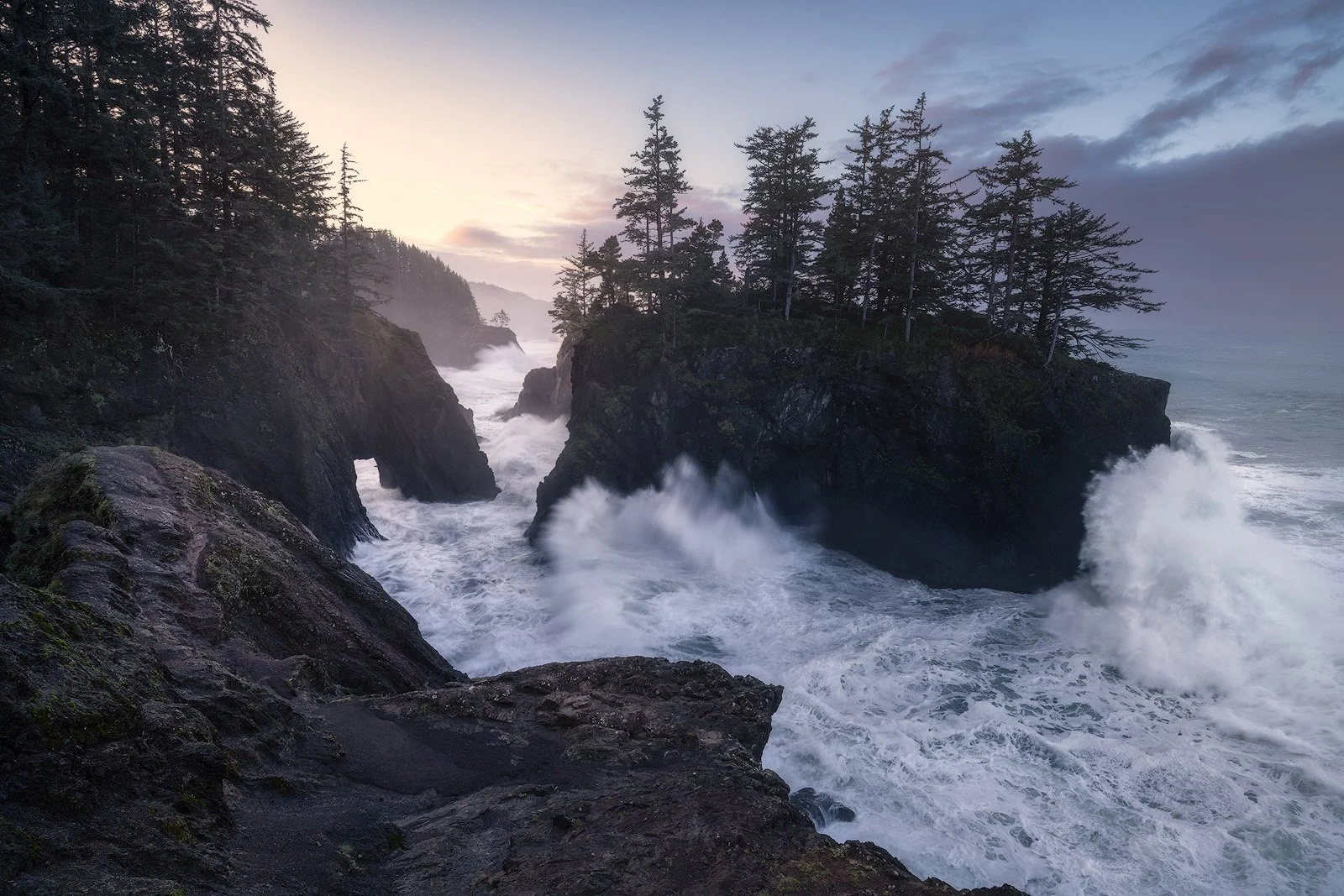 Oregon Coast at Dawn – Waves Crash Against Forested Sea Stacks Under a Soft Morning Sky.jpg