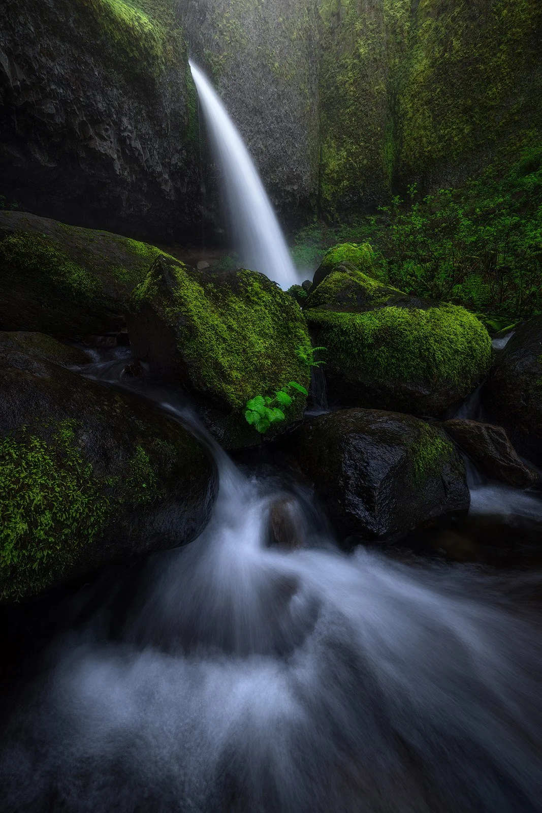 Ponytail Falls – Cascading Stream Behind Lush Moss-Covered Basalt Wall in Oregon Gorge.jpg