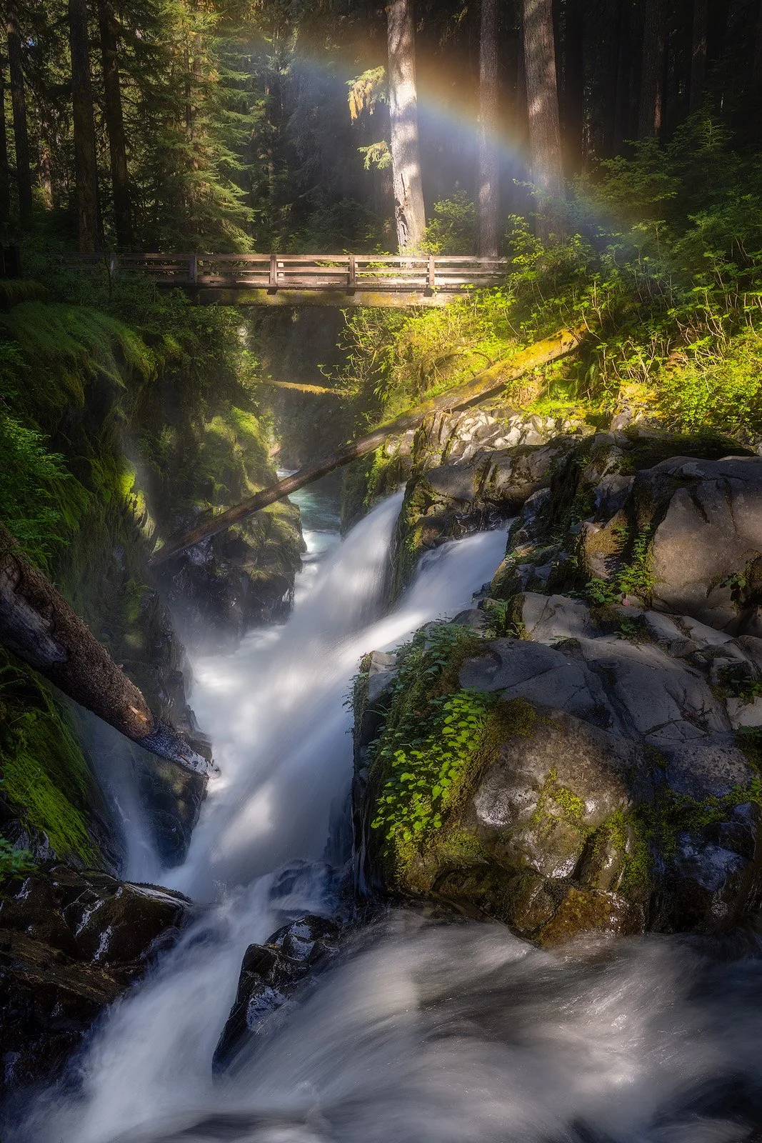 Misty Sol Duc Falls Pouring Through Mossy Gorge with Forest Rainbow.jpg