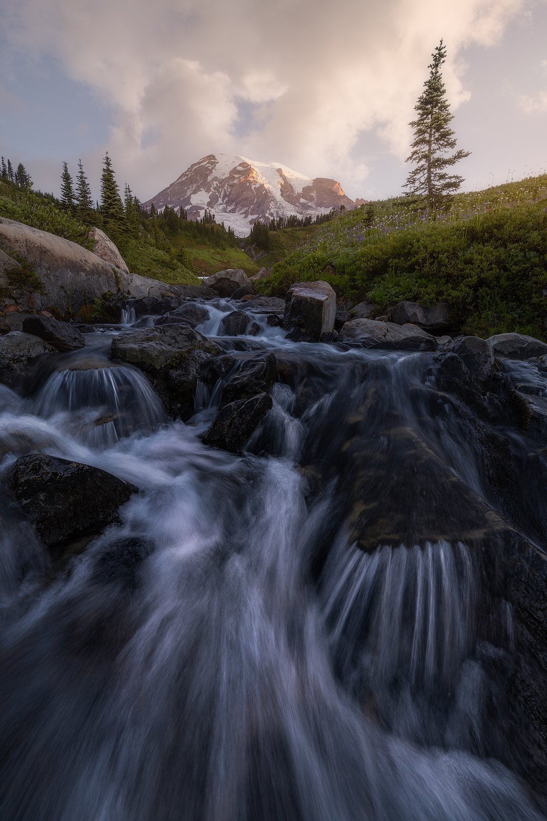 Sunrise Stream Below Mount Rainier – Alpine Waterfall and Wildflowers in Washington.jpg
