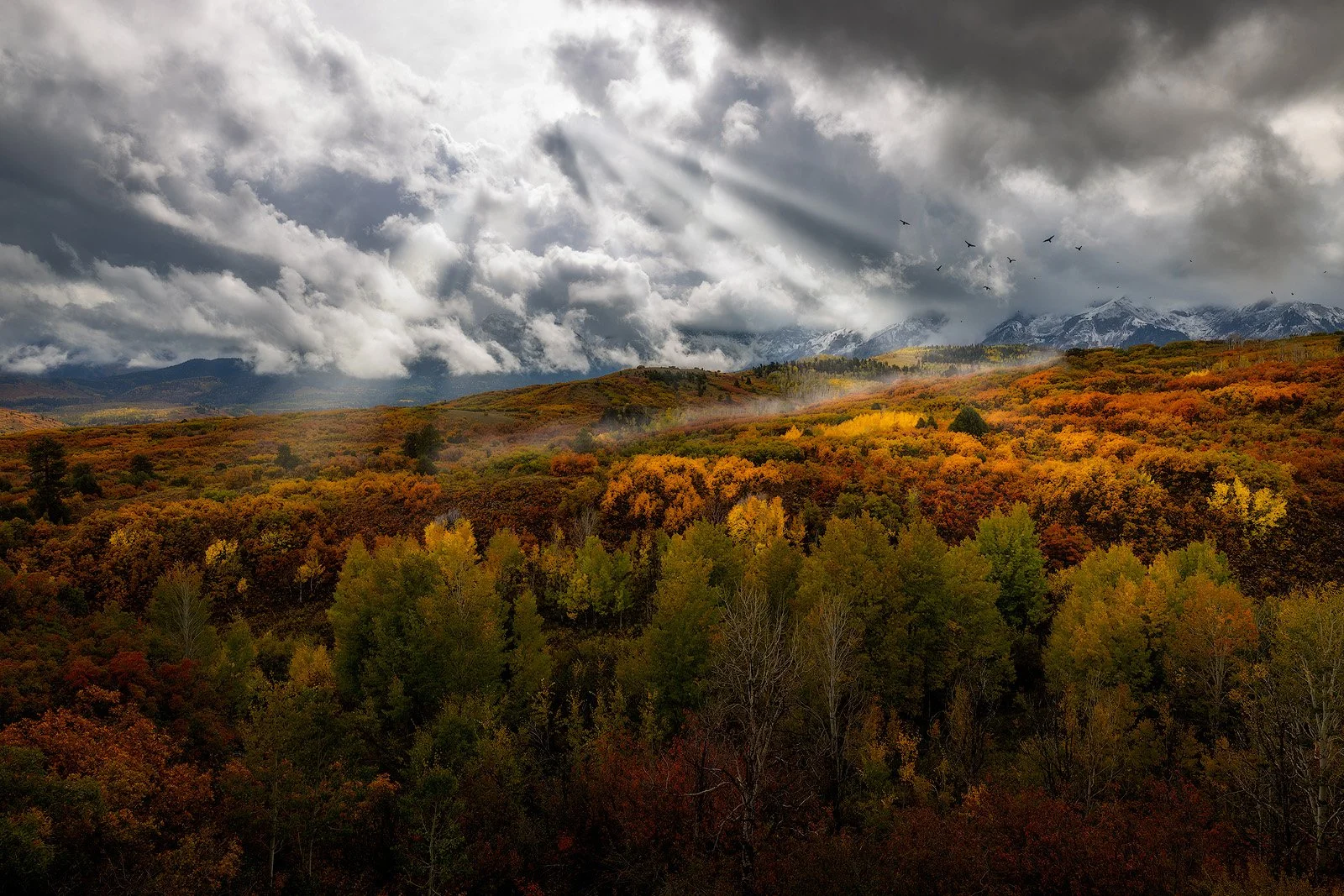Dallas Divide – Dramatic Sunbeams Over Fiery Autumn Forest and Snowy San Juans.jpg