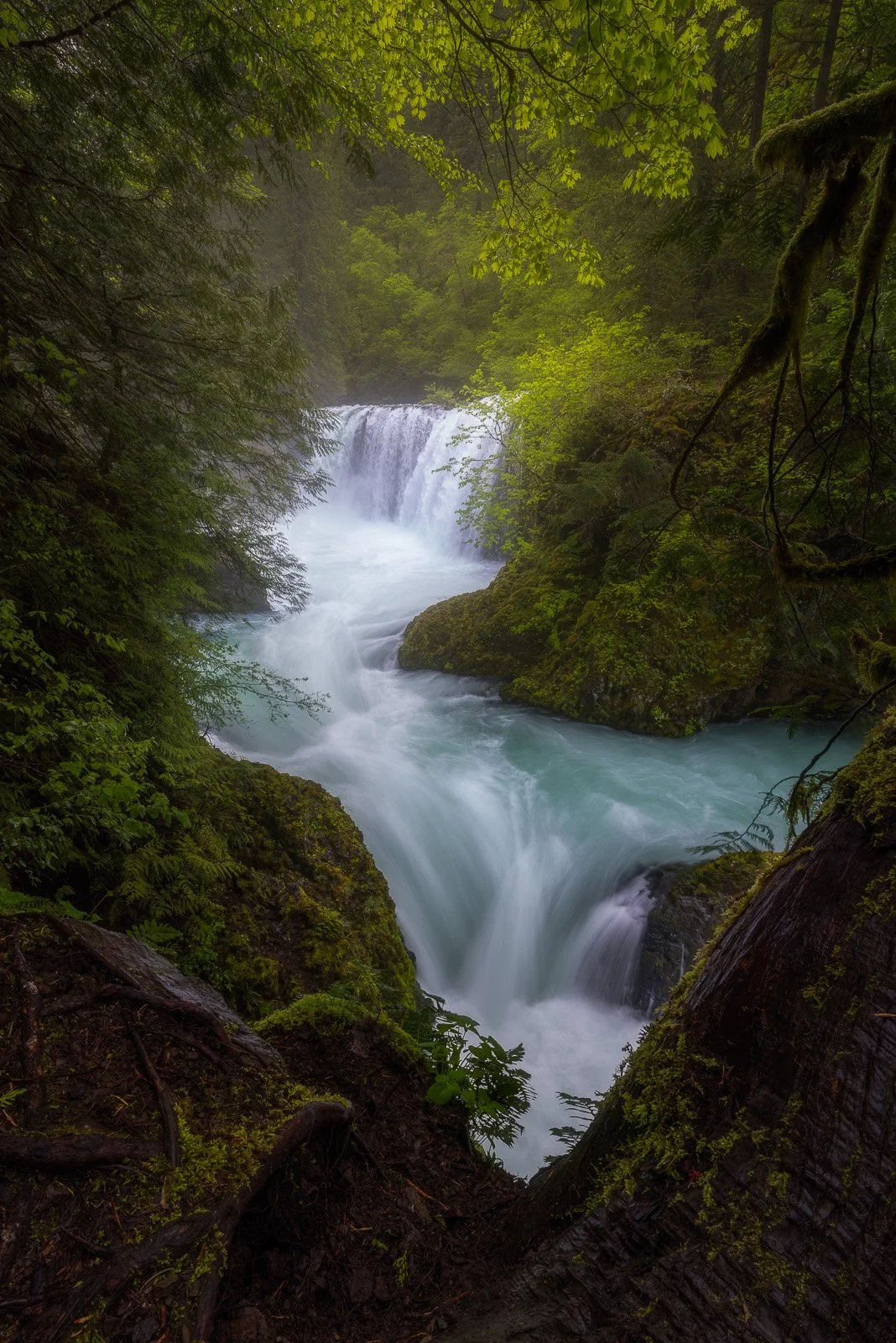 Spirit Falls Waterfall Framed by Lush Forest and Turquoise Cascade.jpg