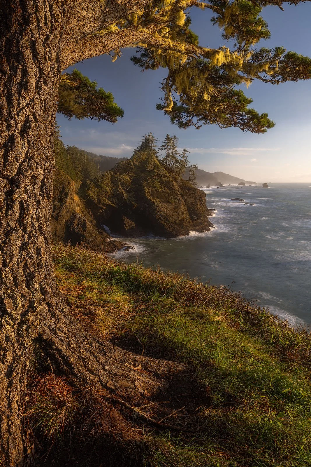 Oregon Coast Sunset – Rugged Sea Stacks Beneath Mossy Branches and Warm Coastal Light.jpg
