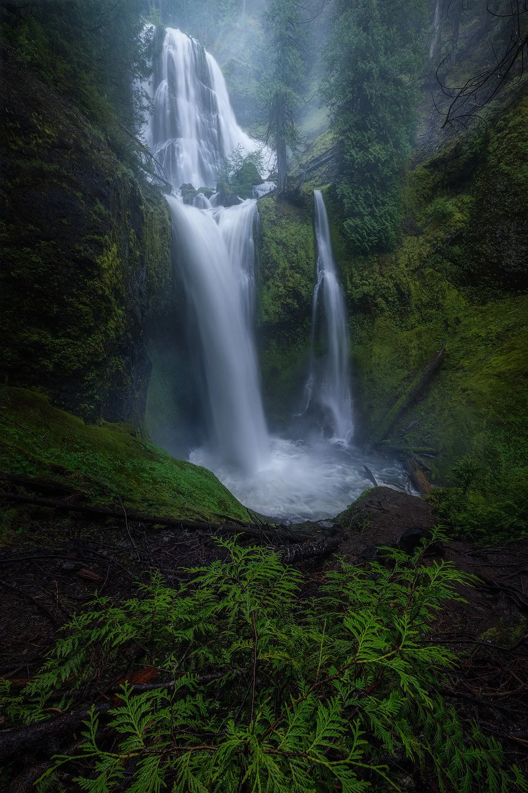 Spring Rainfall Over Fall's Creek Falls in Washington's Wilderness.jpg