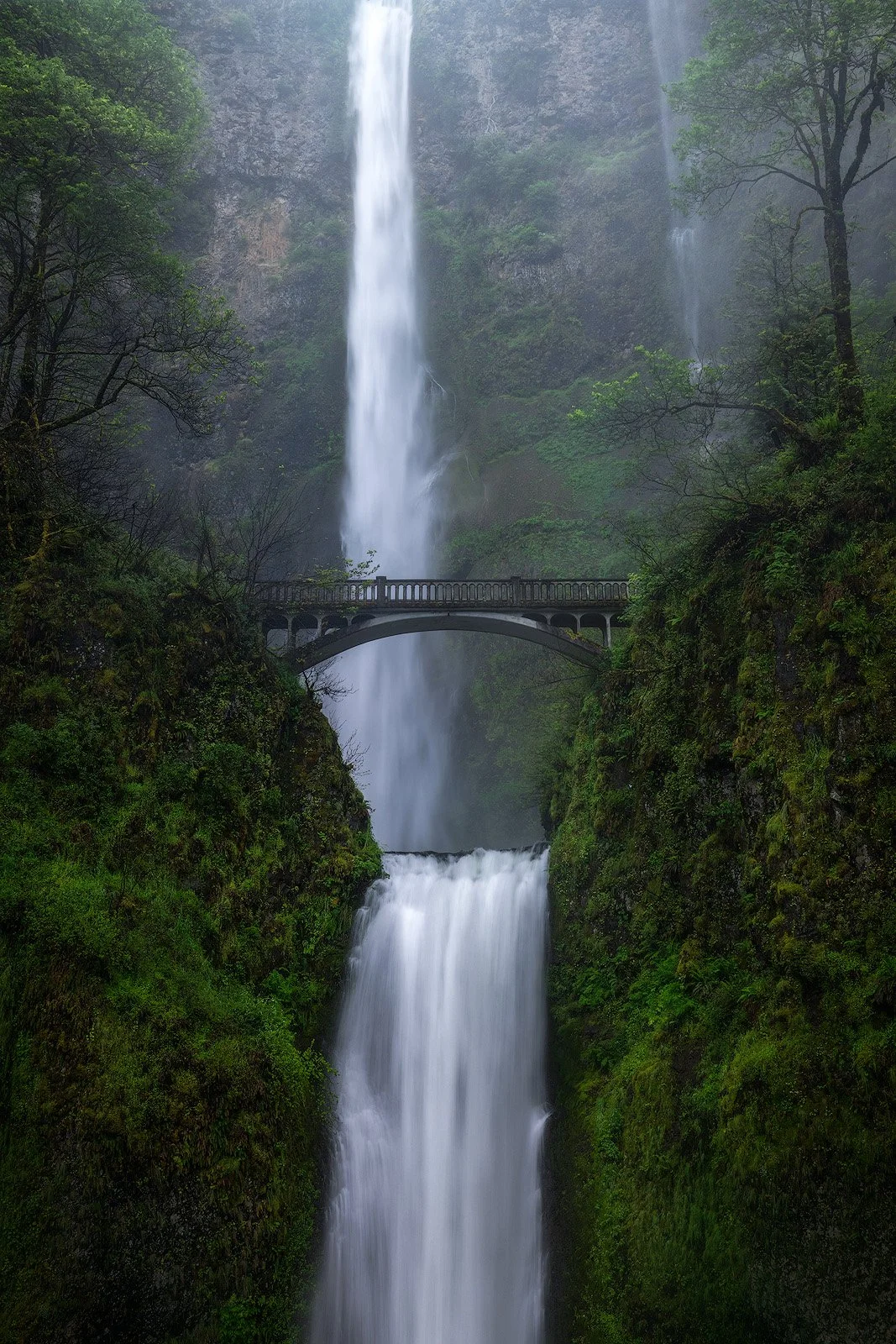 Multnomah Falls in Spring – Twin Cascade Framed by Mossy Bridge and Lush Green Cliffs.jpg