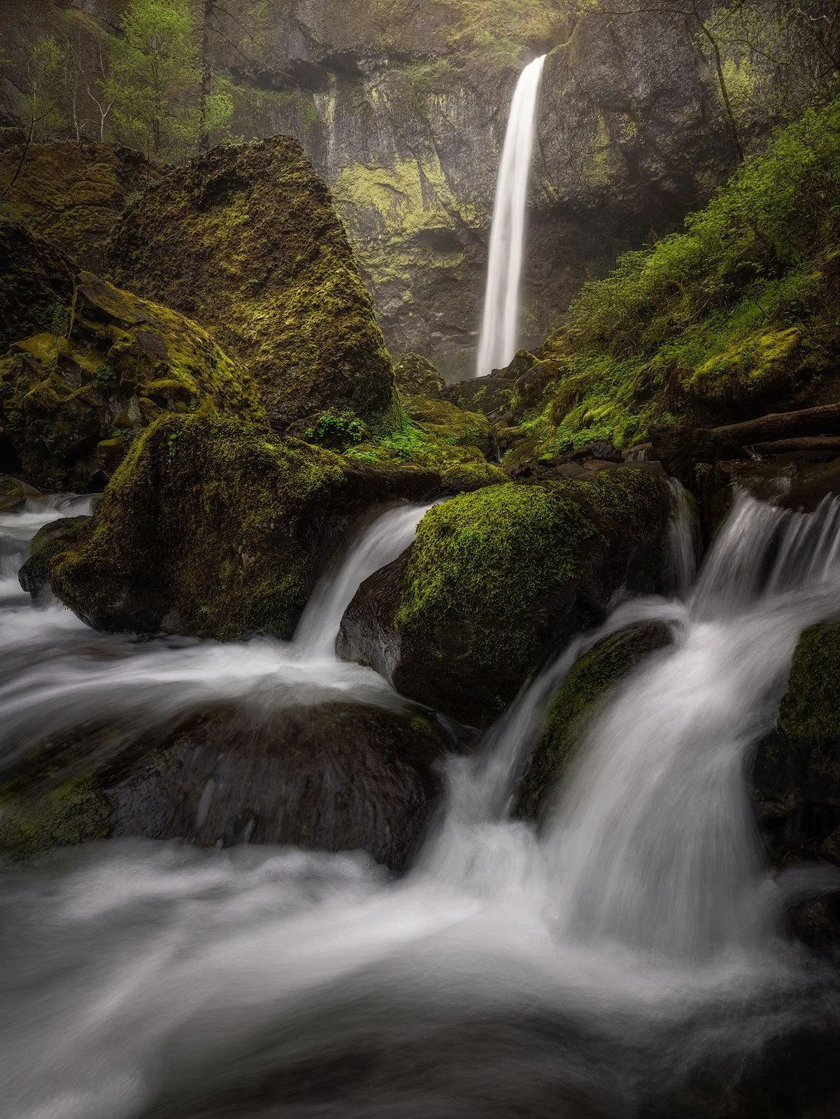 Elowah Falls – Misty Gorge Waterfall Cascading Over Mossy Basalt in Oregon.jpg