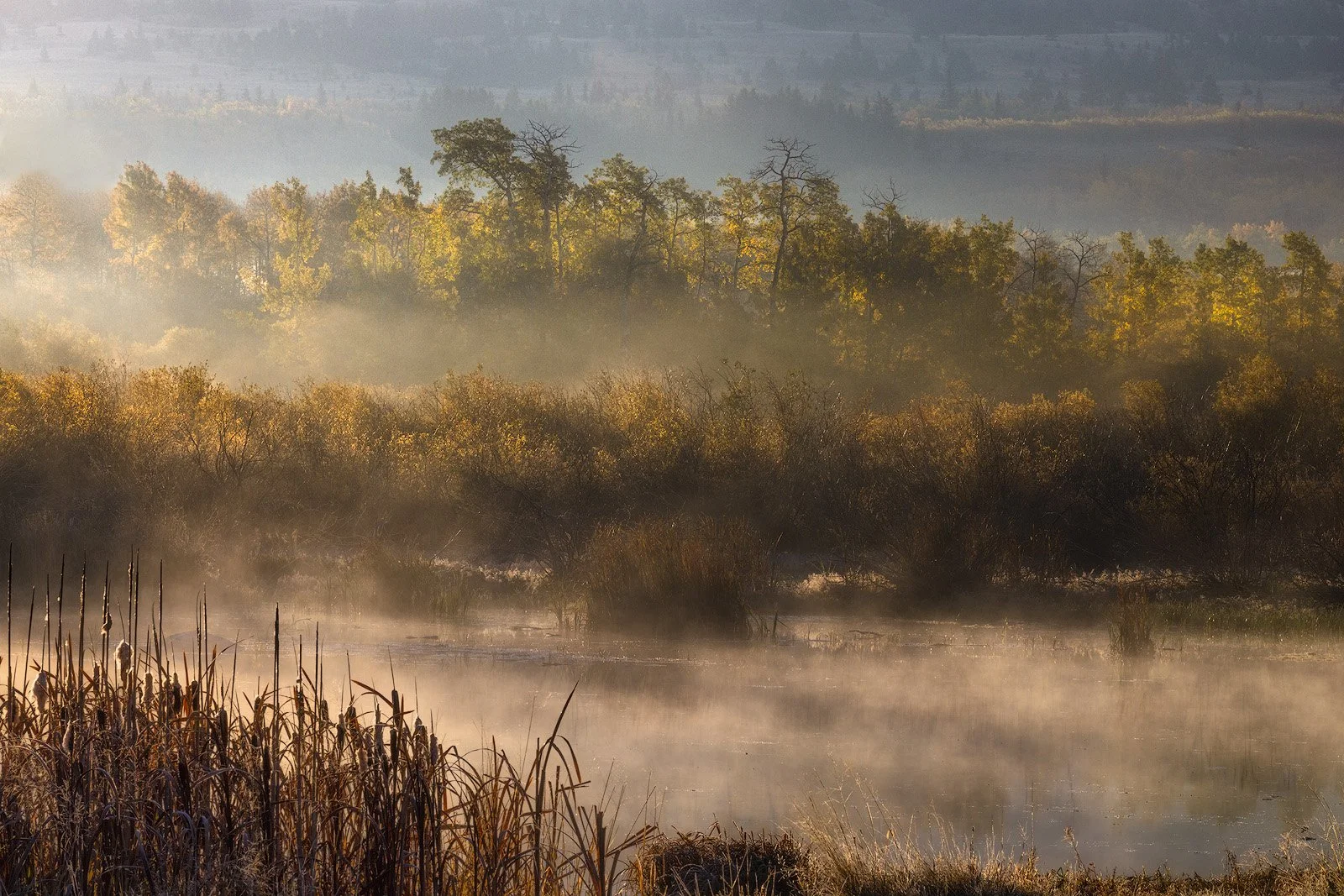 Golden autumn sunrise with mist over Duck Lake, Montana.jpg