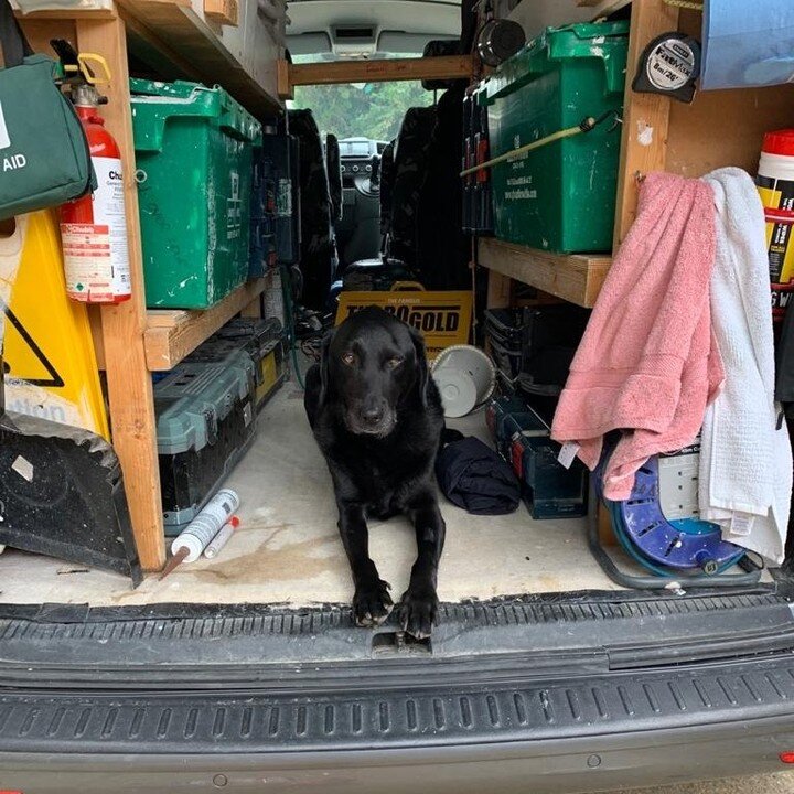 Bailey the black labrador on guard duty protecting my van from unwanted interest!
.
.
.
.
.
.
#alloveradur #blacklabrador #petesalkeld #petersalkeld #westsussex #shorehambysea #vandog #baileytheblacklabrador #doglife #dogbouncer #dogsofinstagram #gua