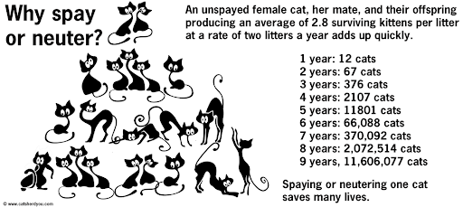 FemaleCats.png