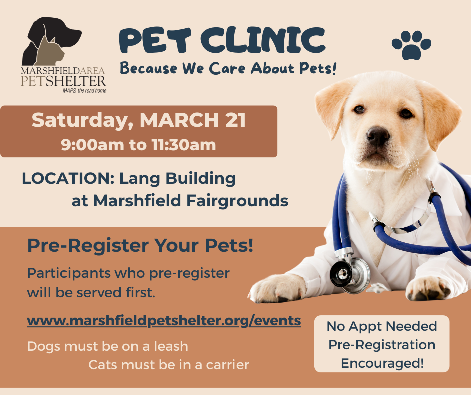 Pet Clinic