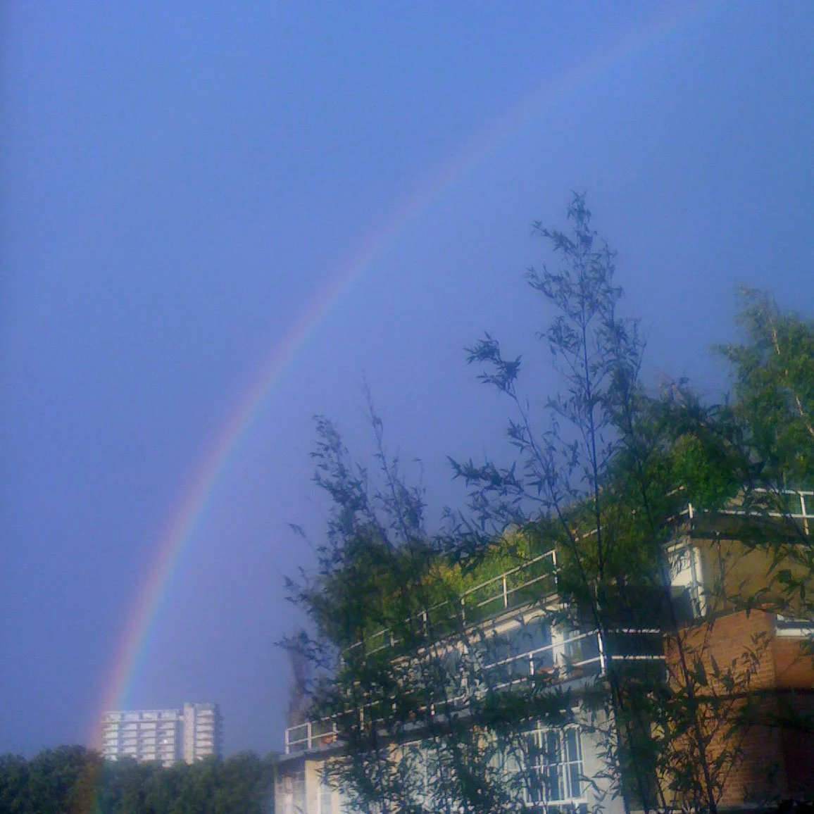 Rainbow in London