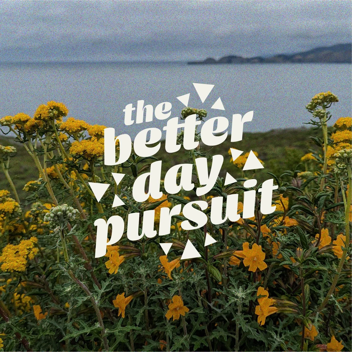 The Better Day Pursuit - Branding -48.jpg