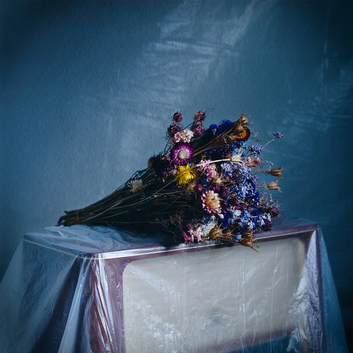 Windshelter -Silence Never Dies 
 (M/Ma)