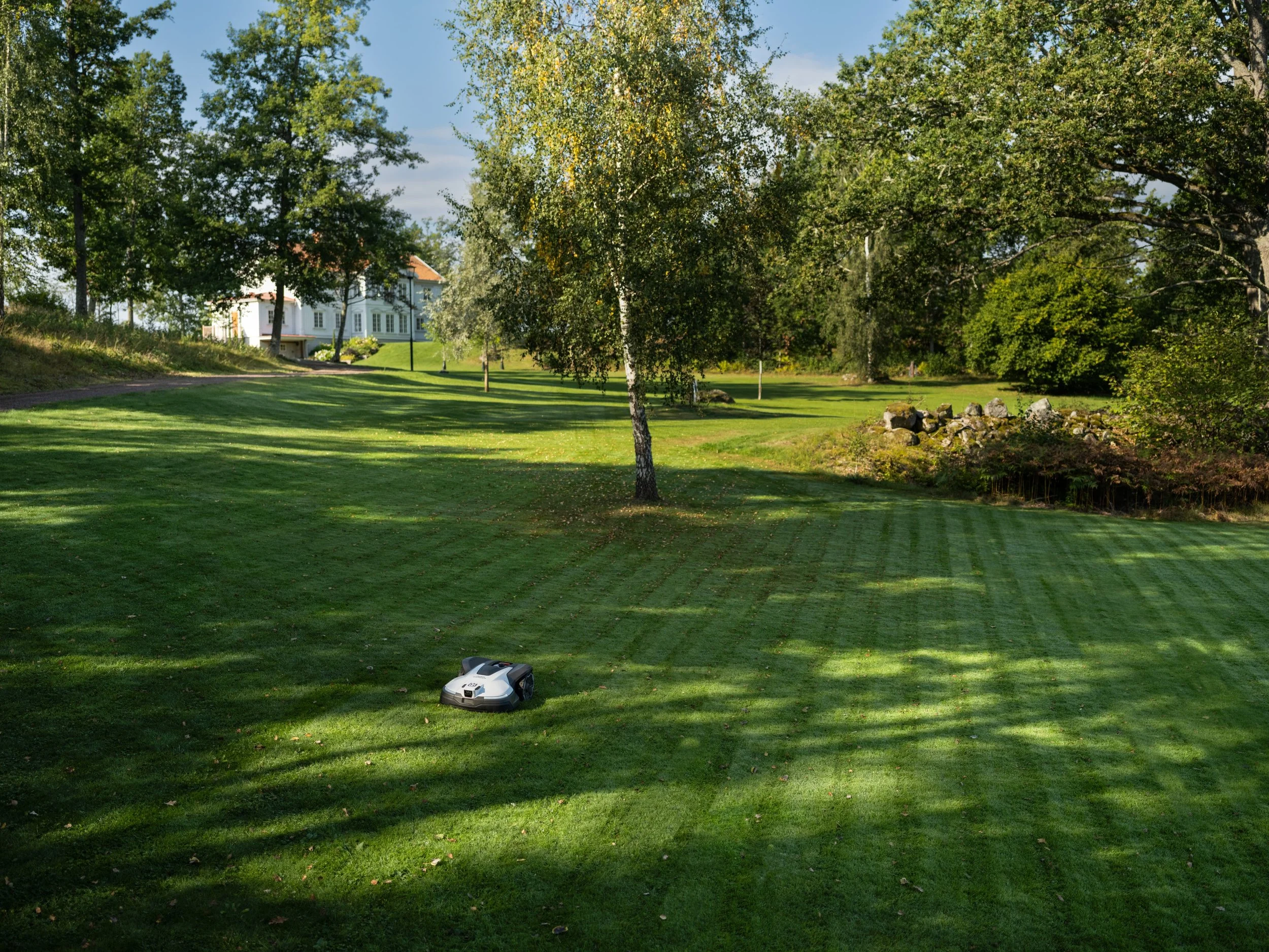 A robotic lawn mower in a well-maintained grassy yard with trees, a house in the background, and sunlight casting long shadows.