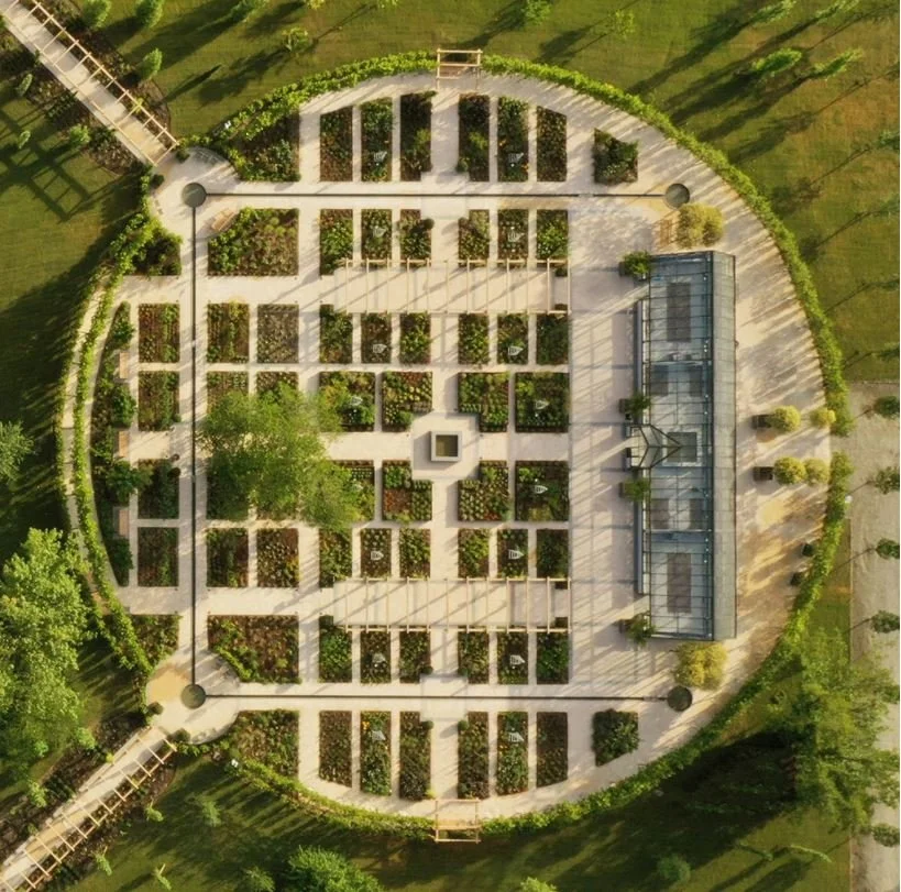 Hoe Davines Regeneratieve biologische landbouw ondersteunt