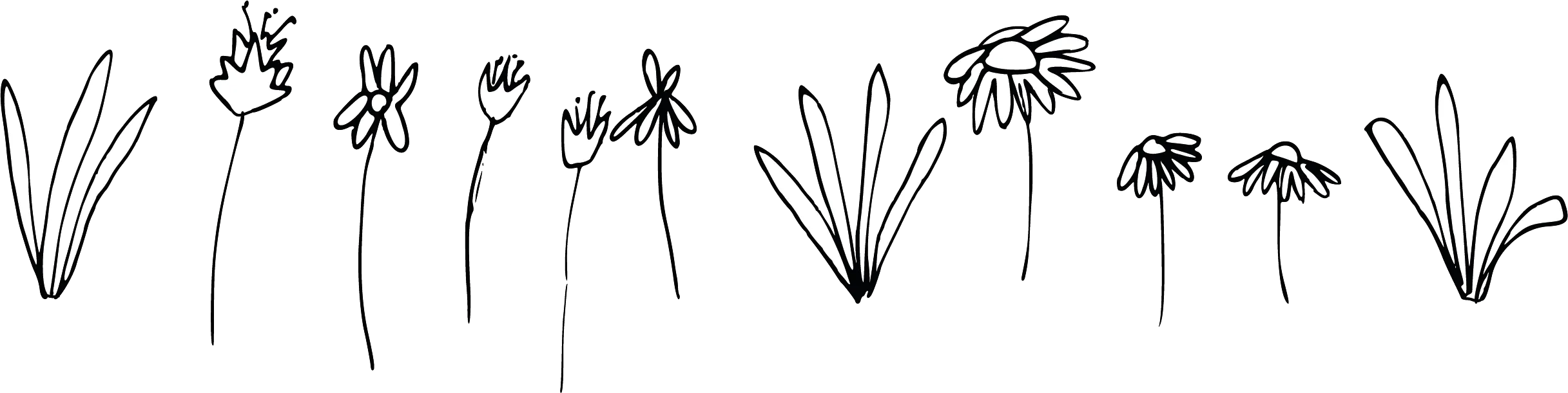 Davines Happy Flowers