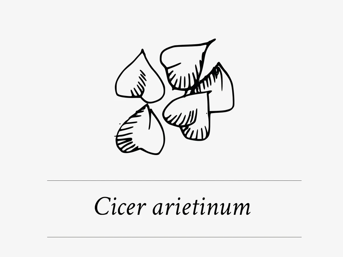 Cicer Arietinum - Zwarte kikkererwt als actief ingrediënt