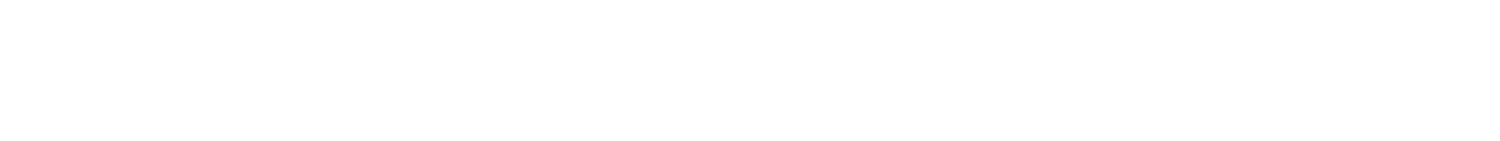 Merry Magical Market