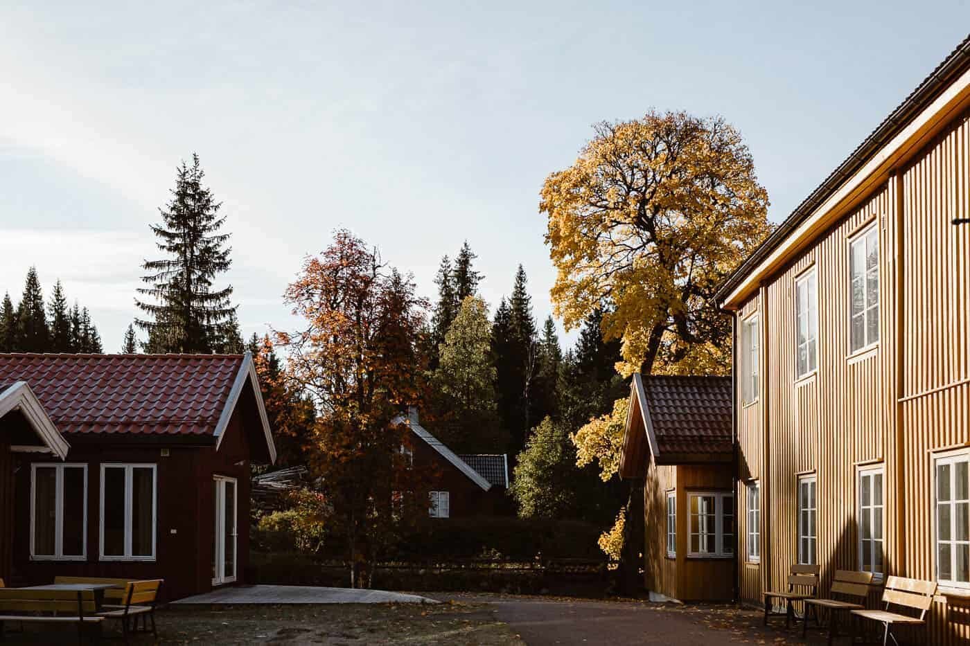 kleivstua-host-686.jpg