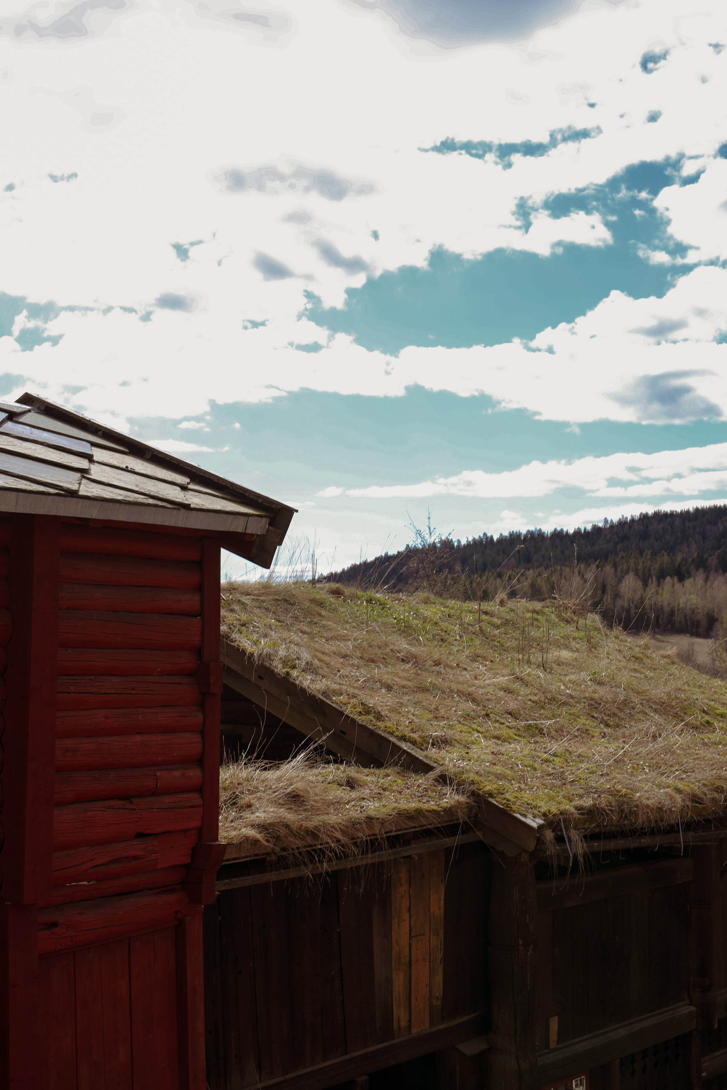1D2D8242-2559-4D37-B66D-8B5D19AE5225.jpeg