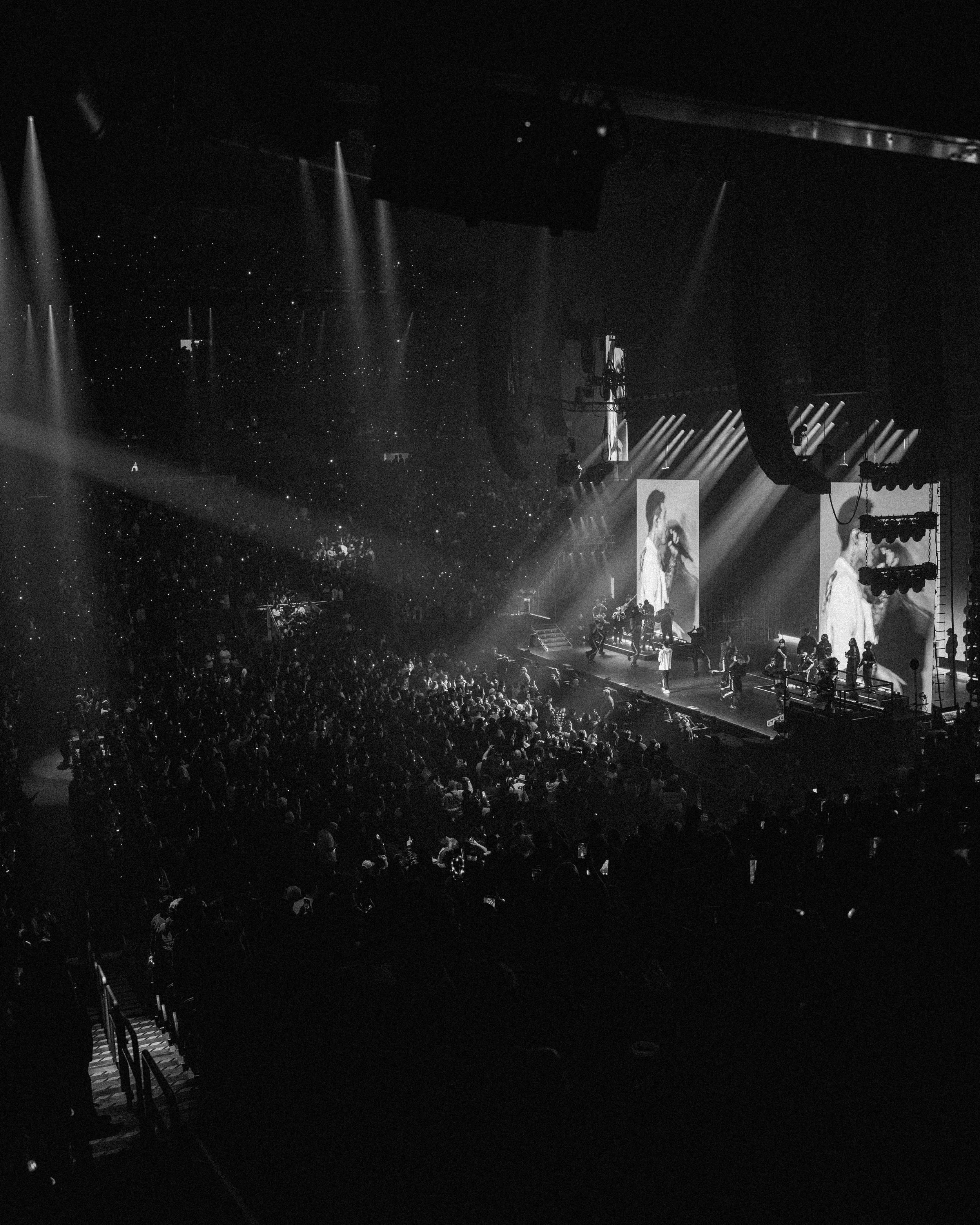 Dinastia Seattle 7.jpeg