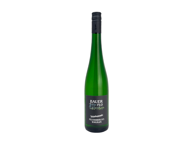 Weissburgunder Feuersbrunn 2024 BIO