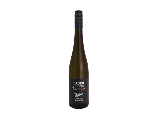 Riesling Ried Losling 2024 BIO