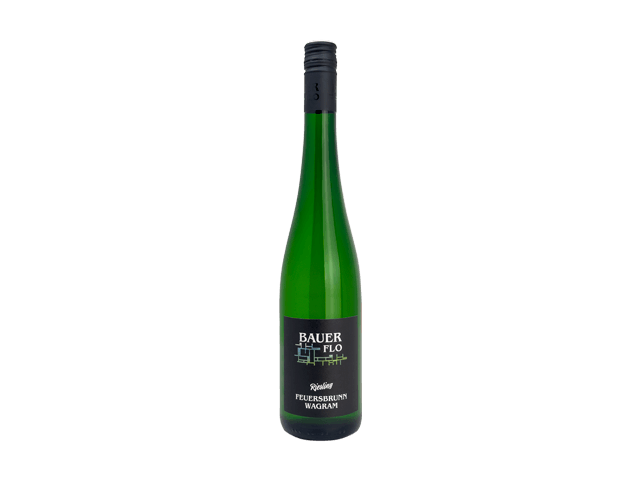 Riesling Feuersbrunn 2024 BIO