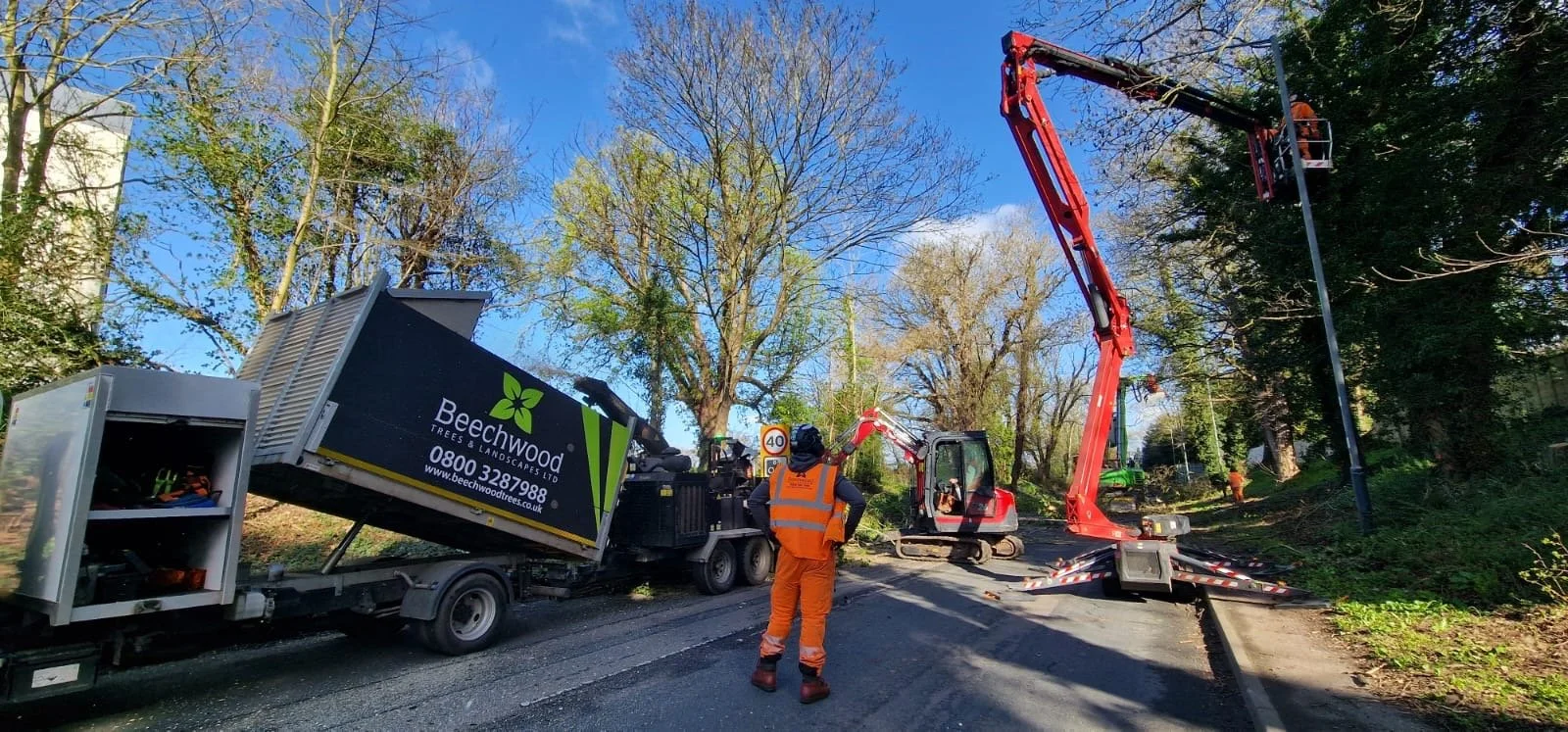 Why Commercial Sites Often Need More Than Just Tree Surgery
