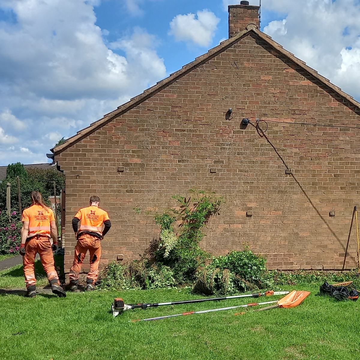 Ivy Removal from Buildings Complete Guide to Safe and Effective
