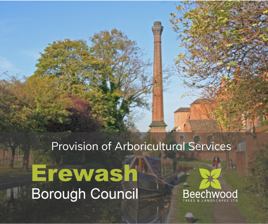 Beechwood Wins Erewash Borough Council Tree Maintenance Contract