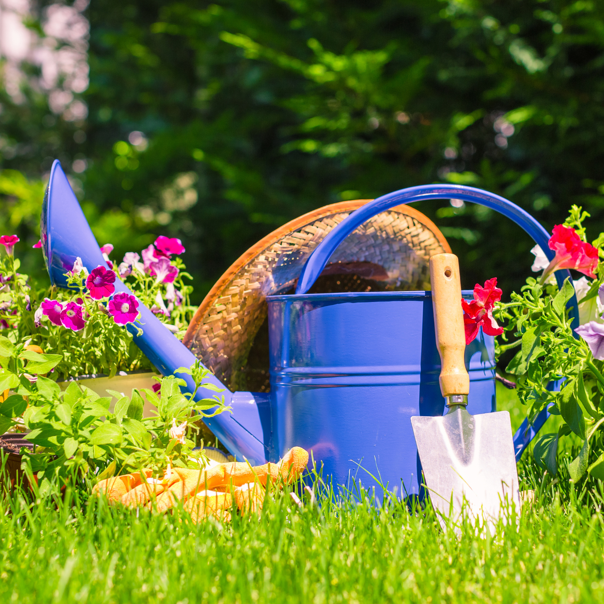 New Year, New Me, New Garden