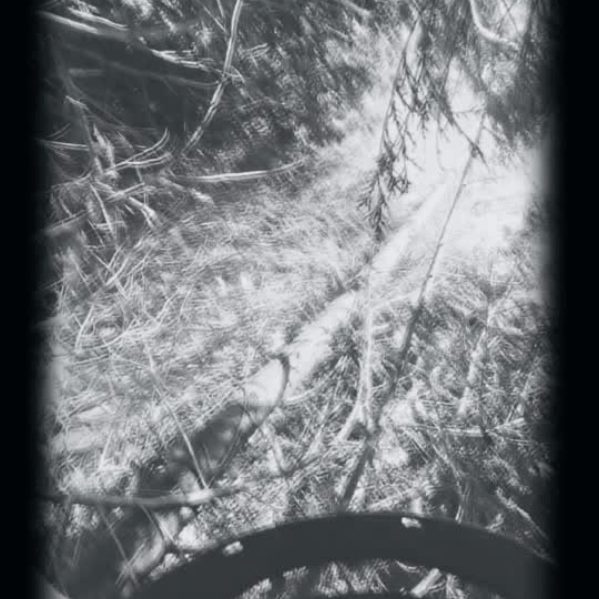 Storm Damaged Sectional Felling With Span Rigging