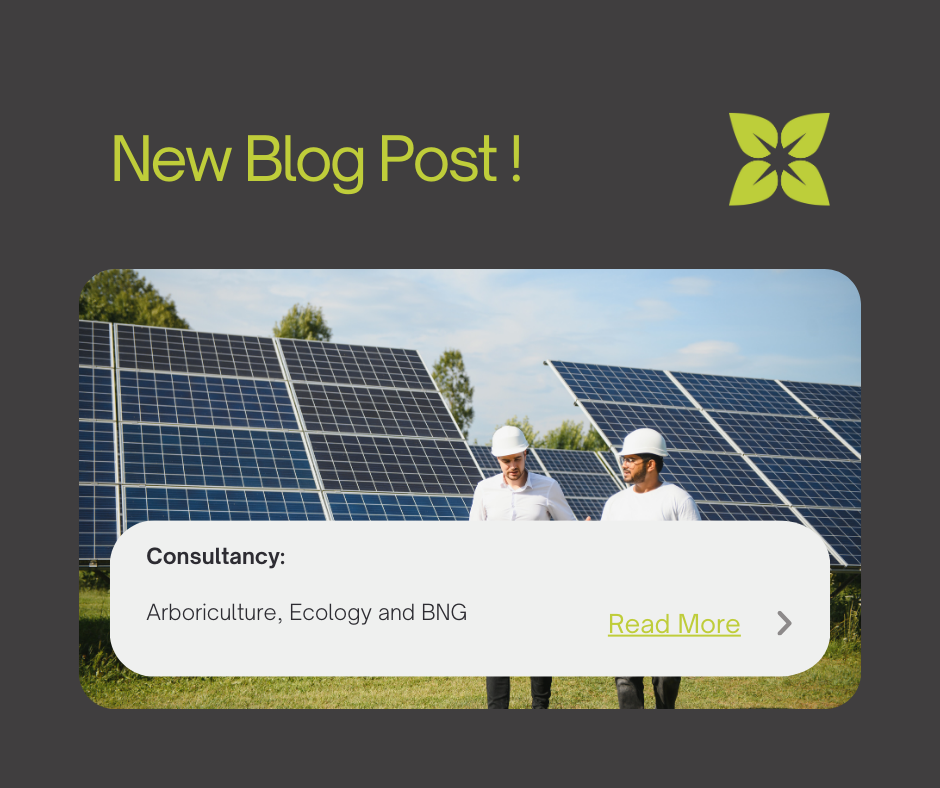 Arboriculture, Ecology and Biodiversity Net Gain Consultancy