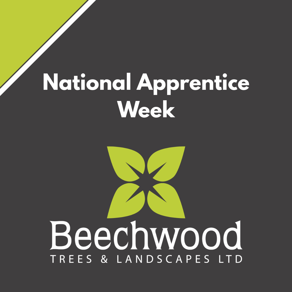 Celebrating National Apprentice Week