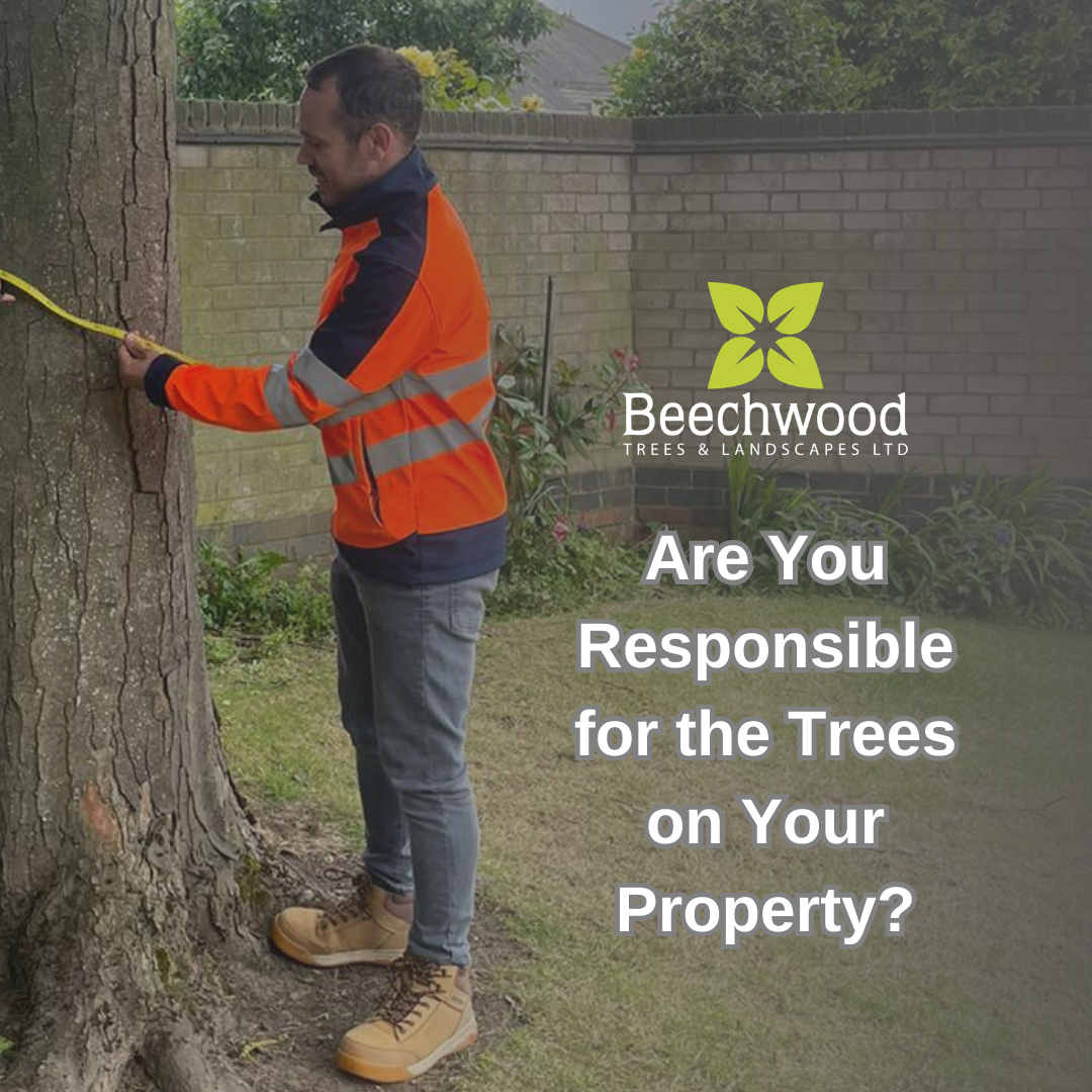 Are You Responsible for the Trees on Your Property?