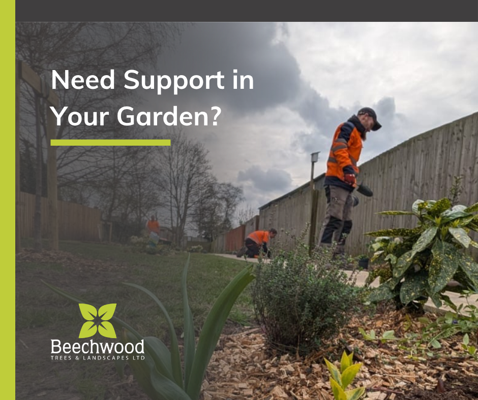 Been in the garden this bank holiday weekend?