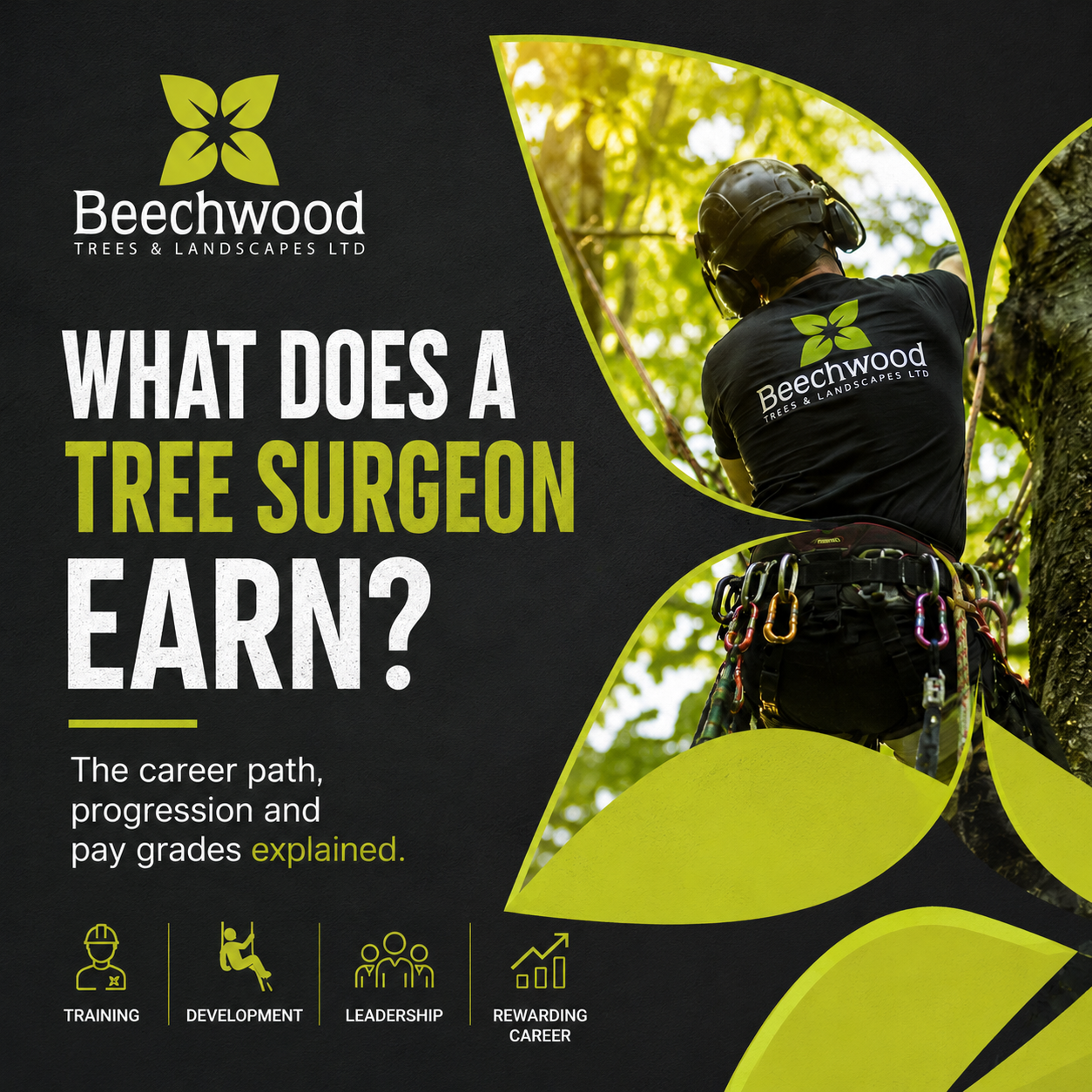 What Does a Tree Surgeon Earn?