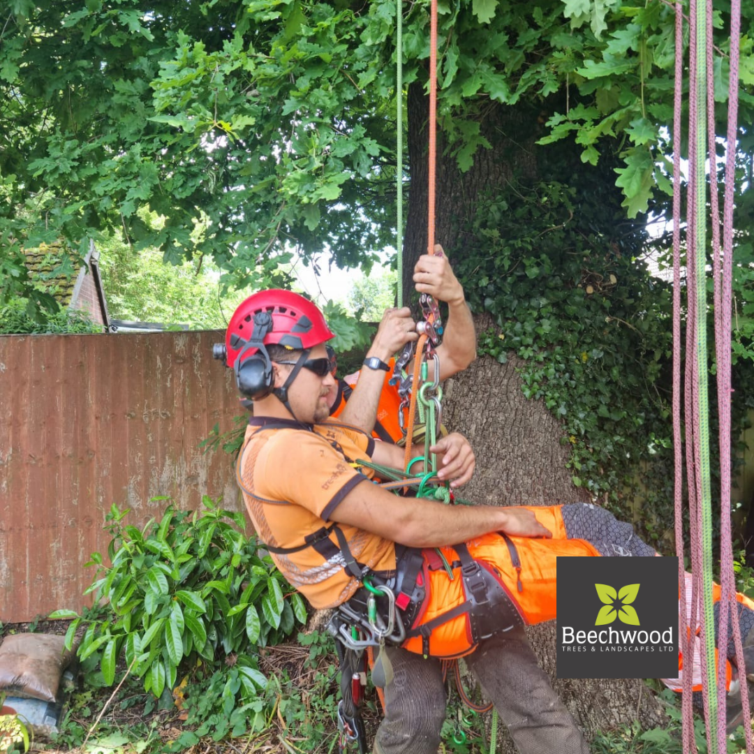 Why Aerial Rescue Training Saves Lives