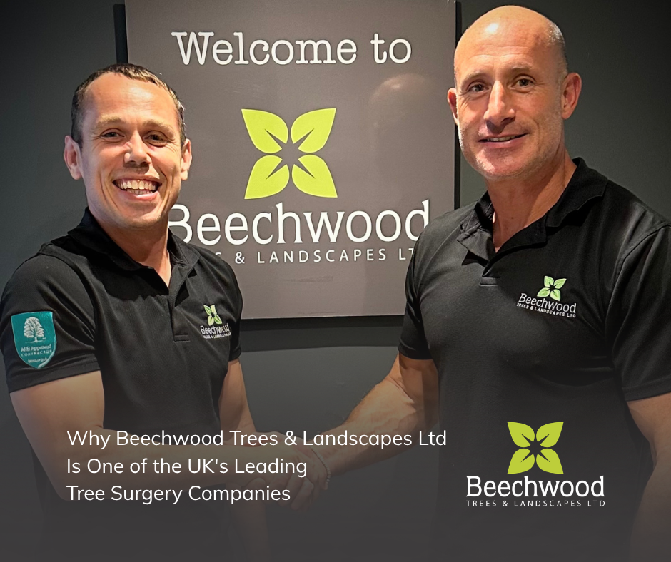 Most Trusted Tree Surgery Company?