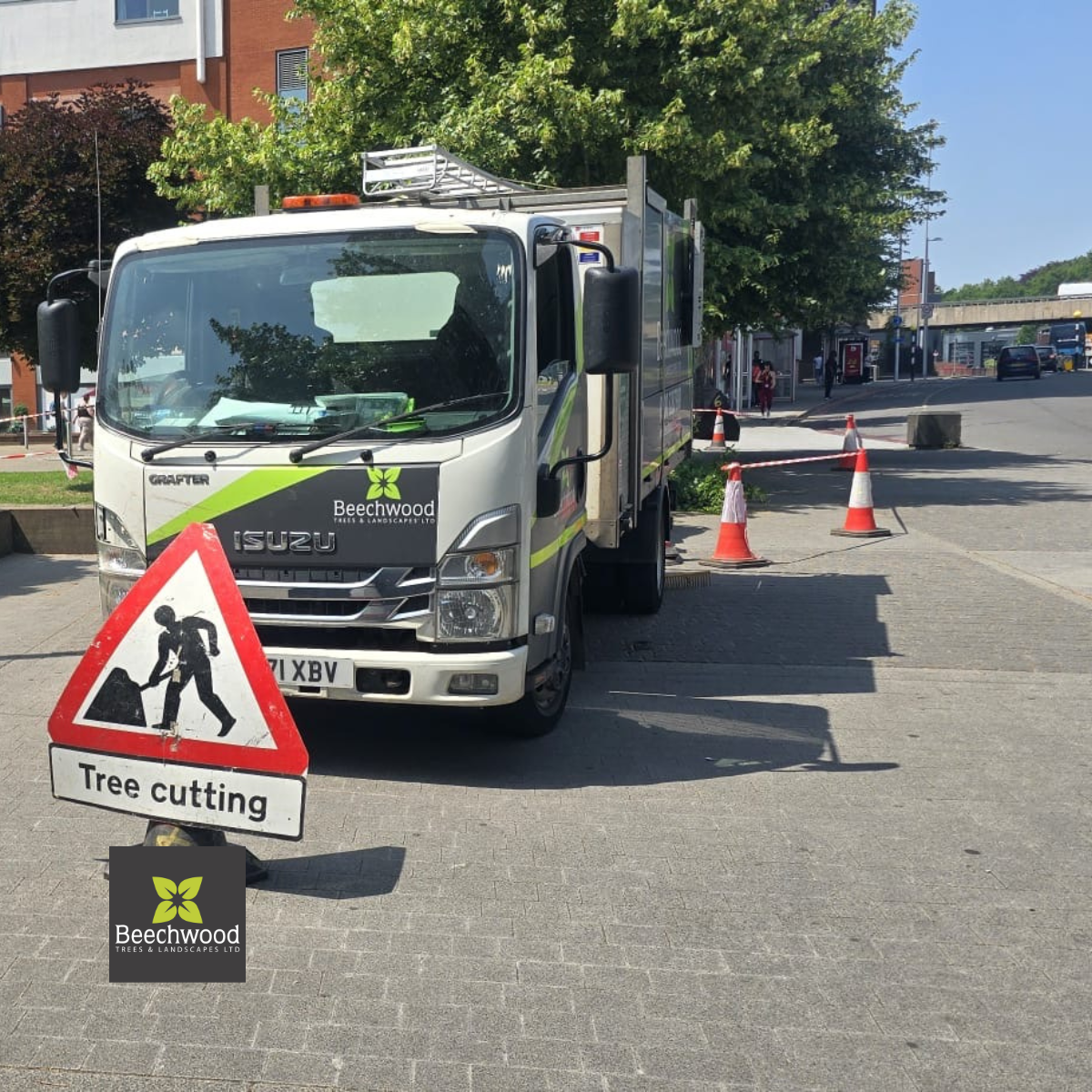 Tree Risk Management for Commercial Properties