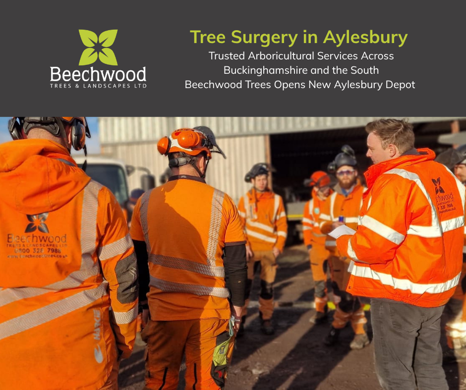 Tree Surgery in Aylesbury