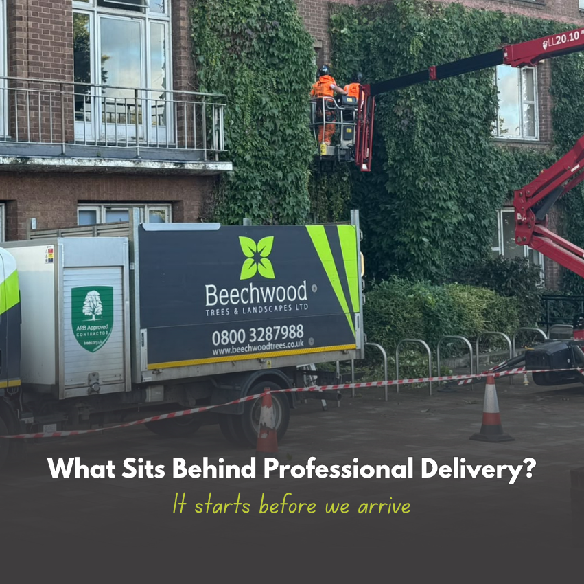 What Sits Behind Professional Delivery?