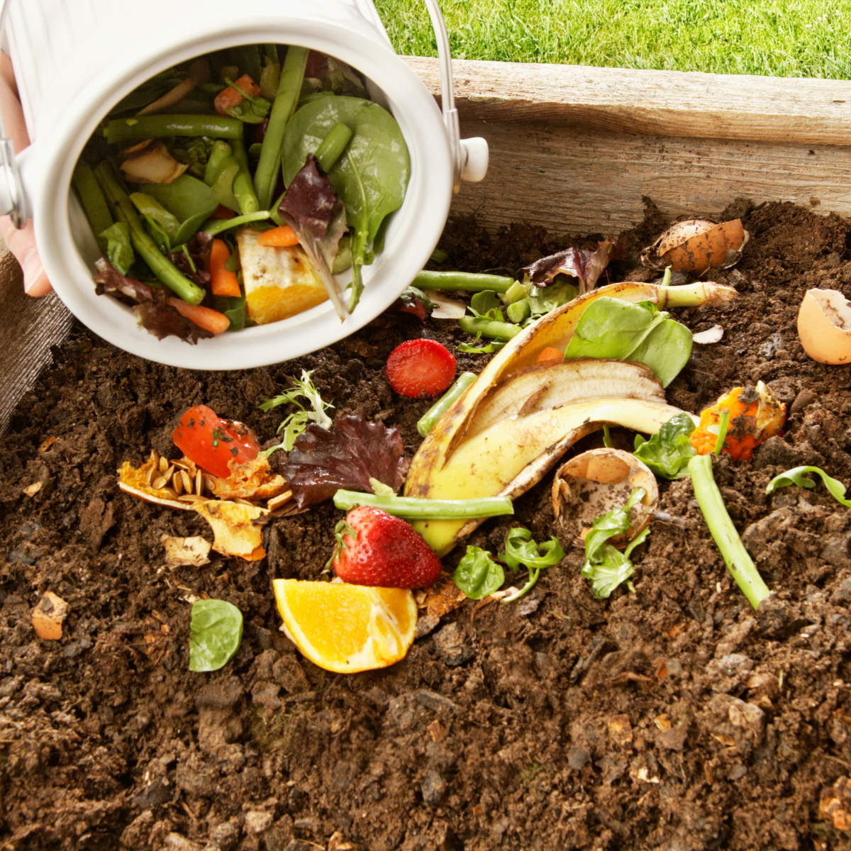 Adding compost to a bed of soil to enrich it and improve nutrient retention