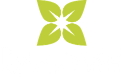 Beechwood Trees &amp; Landscapes