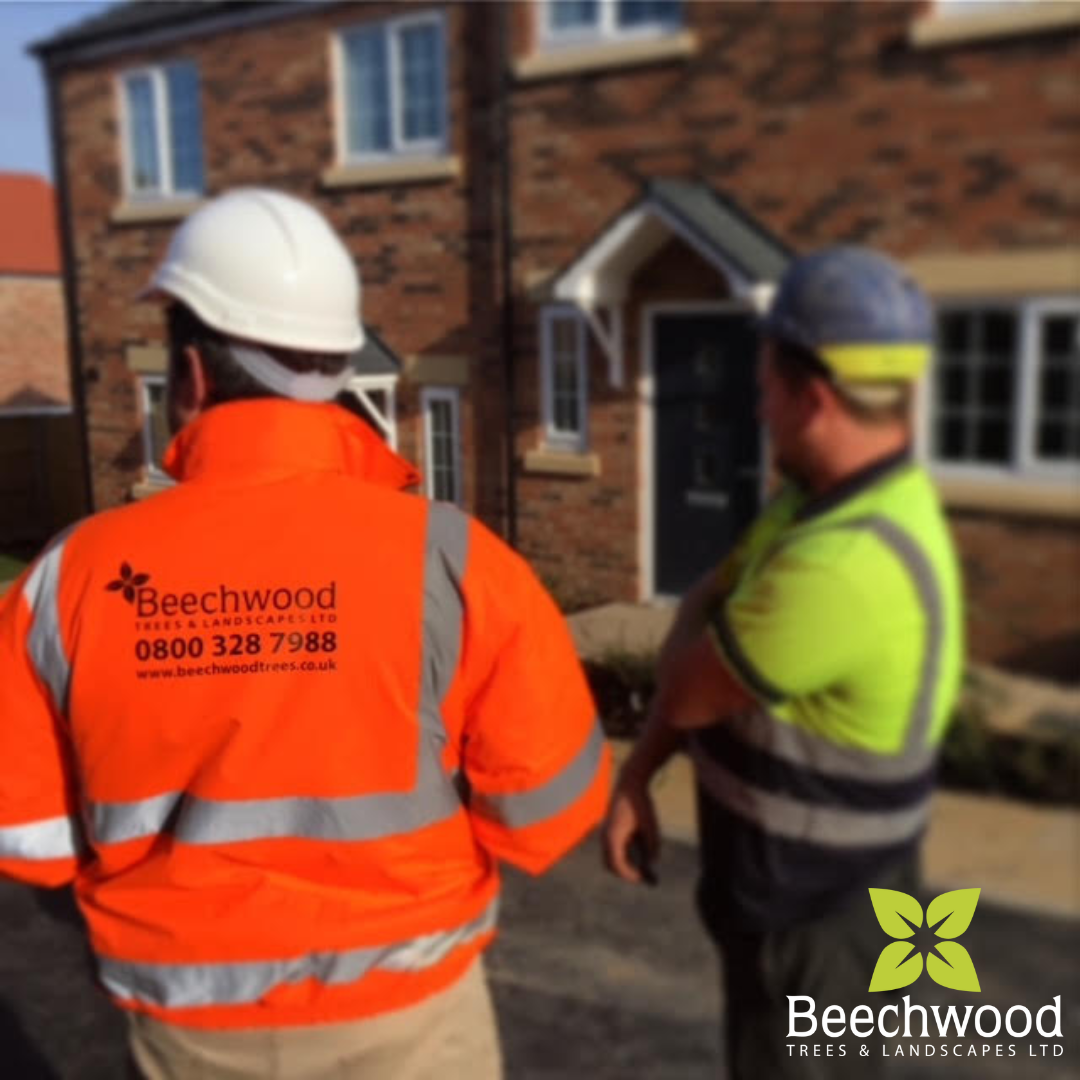 The Benefits of Partnering with Beechwood Trees and Landscapes Ltd — Beechwood Trees & Landscapes